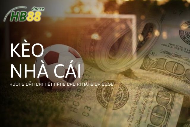 Cách Đọc Kèo Nhà Cái: Hướng Dẫn Chi Tiết Nâng Cao Kỹ Năng Cá Cược