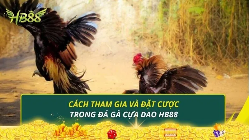 Cách tham gia và đặt cược trong đá gà cựa dao HB88