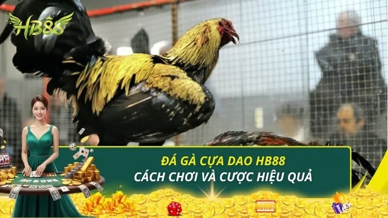 Đá Gà Cựa Dao HB88 - Hướng Dẫn Cách Chơi Và Cược Hiệu Quả