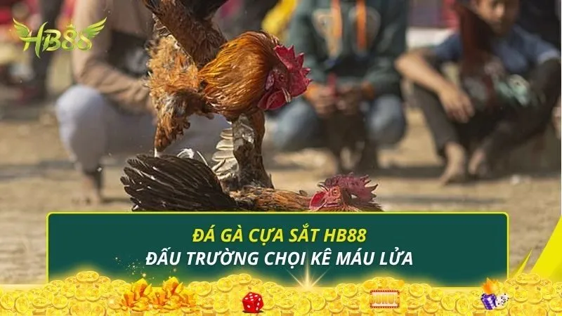 Đá gà cựa sắt HB88 - Đấu trường chọi kê máu lửa