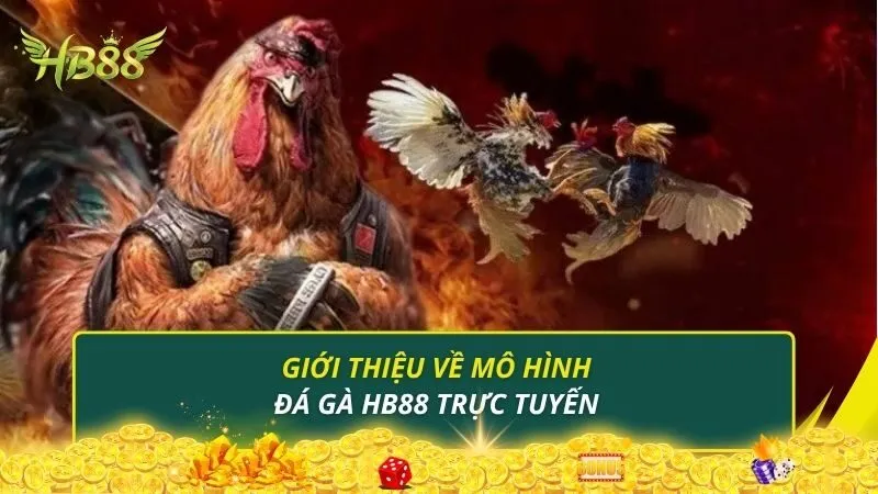 Giới thiệu về mô hình đá gà HB88 trực tuyến