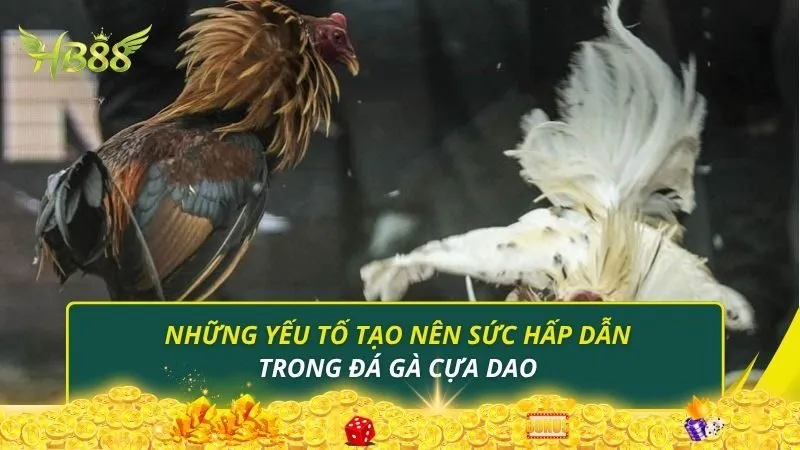 Những yếu tố tạo nên sức hấp dẫn trong đá gà cựa dao