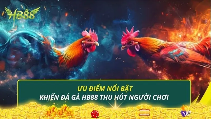 Ưu điểm nổi bật khiến đá gà HB88 thu hút người chơi