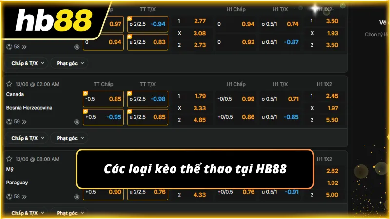 Bảng cược hiển thị đầy đủ lựa chọn cùng thông số liên quan