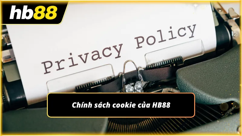 Công cụ theo dõi hỗ trợ tối ưu hóa hiệu suất và cá nhân hóa trải nghiệm