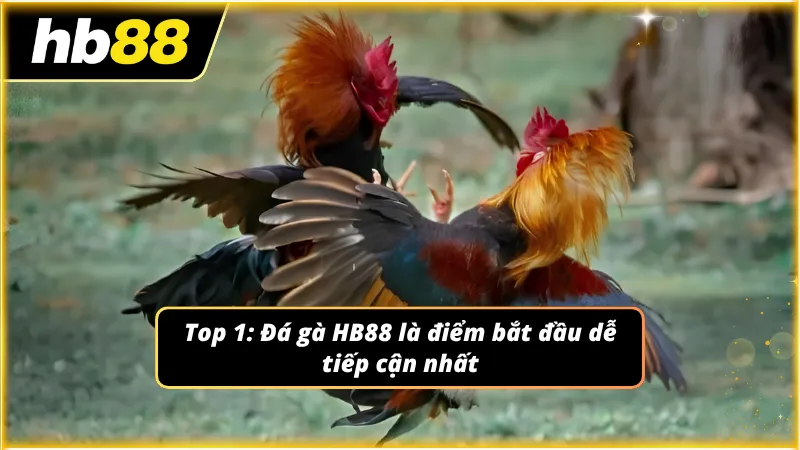 Giao diện thiết kế tối giản giúp tân binh làm quen nhịp độ rất nhanh