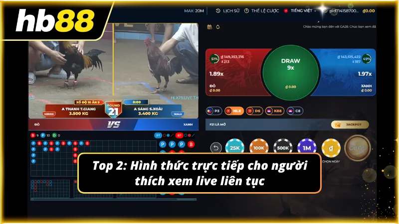 Việc xem diễn biến thực tế luôn mang lại cảm giác vô cùng chân thật