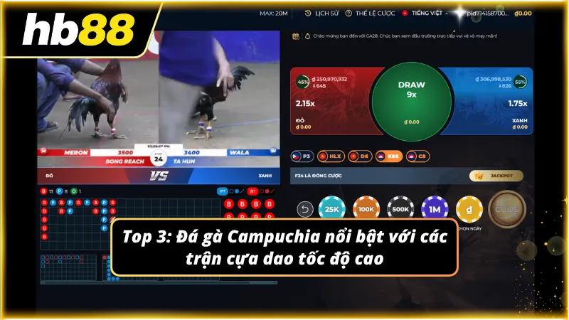 Những pha tấn công chớp nhoáng tạo nên sức hấp dẫn cực kỳ khó cưỡng