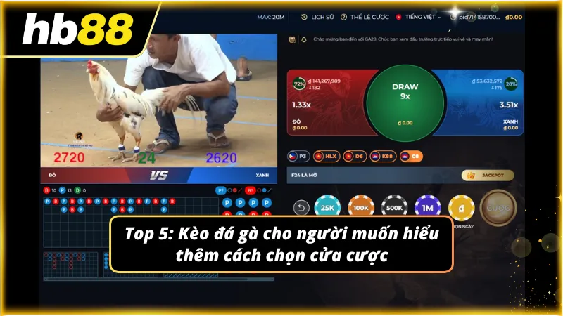 Nắm vững luật chơi giúp bạn tối ưu hóa mọi cơ hội giành thắng lợi