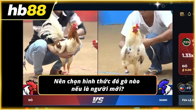 Chọn đúng sảnh giải trí giúp bảo vệ an toàn cho ngân sách cá nhân