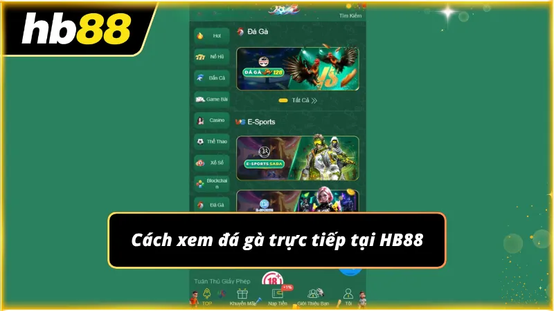 Người xem dễ theo dõi diễn biến thông qua giao diện trực quan