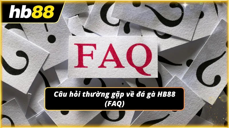 Nội dung hỏi đáp hỗ trợ tra cứu nhanh các vướng mắc phổ biến