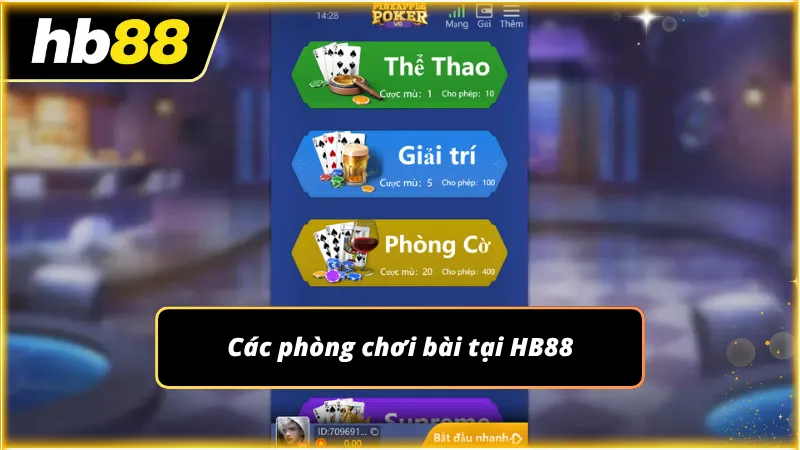 Nhiều cấp độ phòng được thiết kế phù hợp từng quy mô ngân sách
