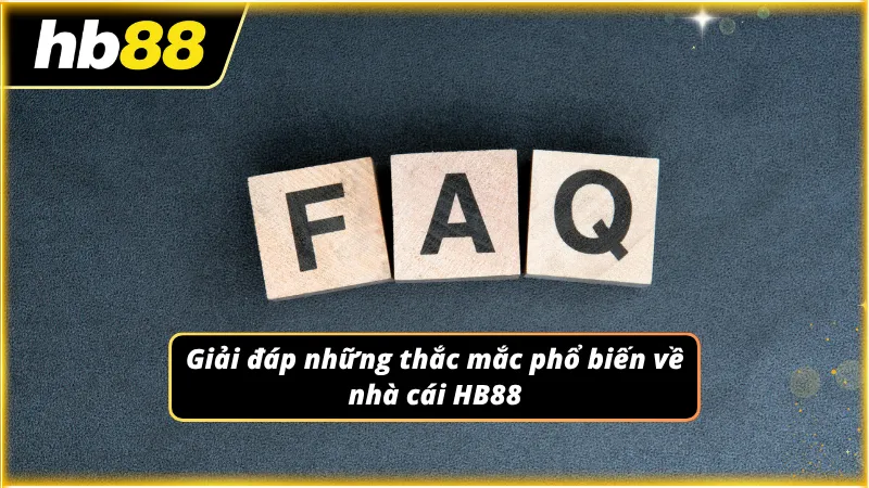 Các câu hỏi thường gặp được tổng hợp để hỗ trợ tra cứu nhanh