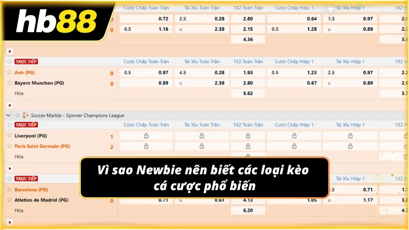Top lý do thành viên cần biết về các loại kèo