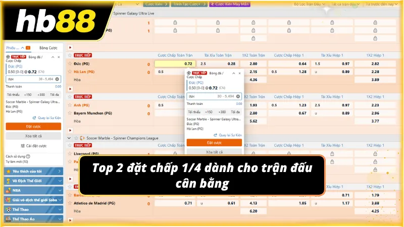 Đặt chấp 1/4 cho Newbie từ a đến z