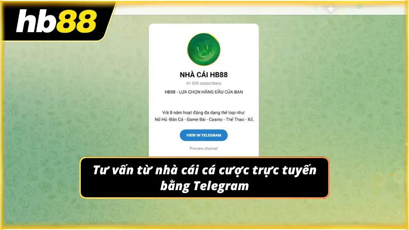 Newbie liên hệ bằng Telegram với 50s đến 1 phút thực hiện