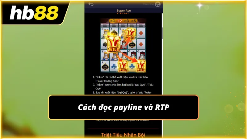 Bảng payline minh họa các tổ hợp biểu tượng tạo ra phần thưởng