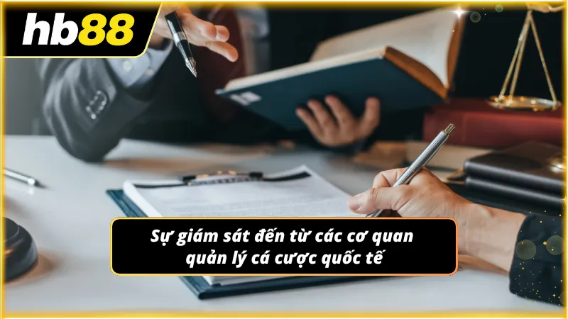 Hoạt động được theo dõi chặt chẽ nhằm đảm bảo tính công bằng lâu dài