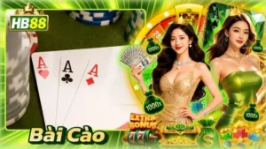 Bài Cào