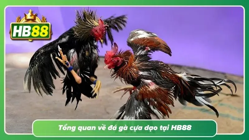 Tìm hiểu lịch sử hình thành của sảnh này