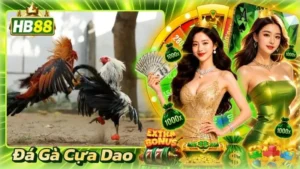 Đá Gà Cựa Dao