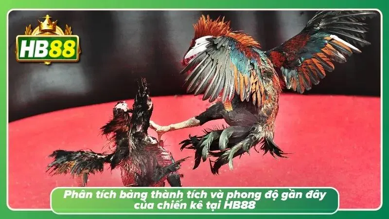 Phân tích, quan sát tìm hiểu kỹ từng loại chiến kê