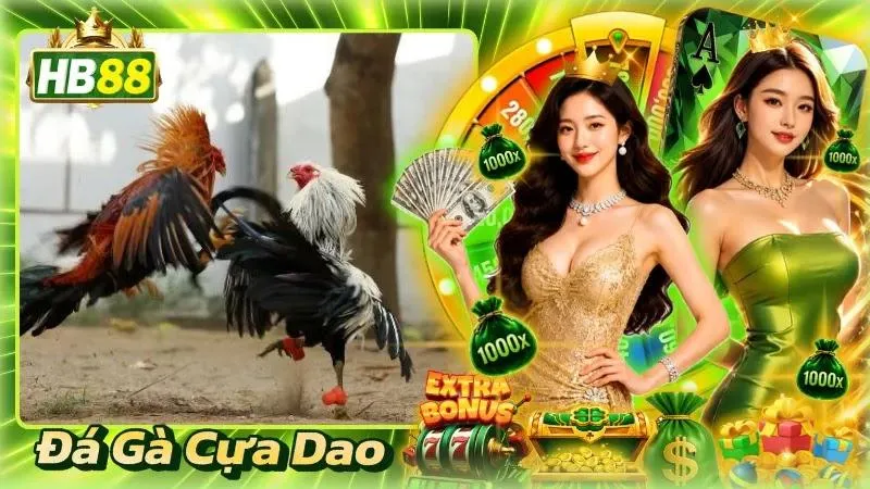 Đá Gà Cựa Dao