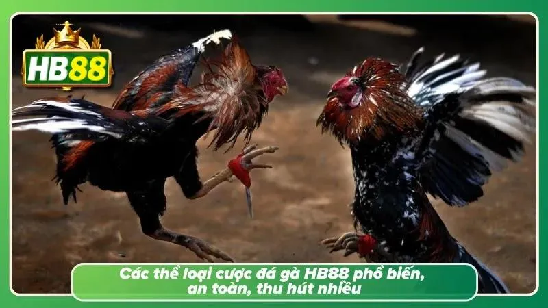 Đa dạng hoá về hệ sinh thái cược đá gà