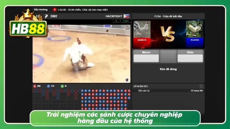 Tổng quan nhanh các sảnh có thể tham gia chơi