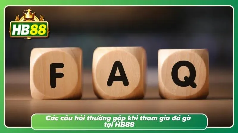 Các câu hỏi thường gặp khi tham gia tại nhà cái