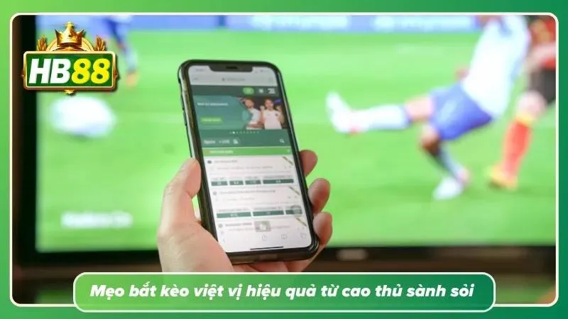Khám phá các mẹo bắt kèo việt vị hiệu quả tại HB88