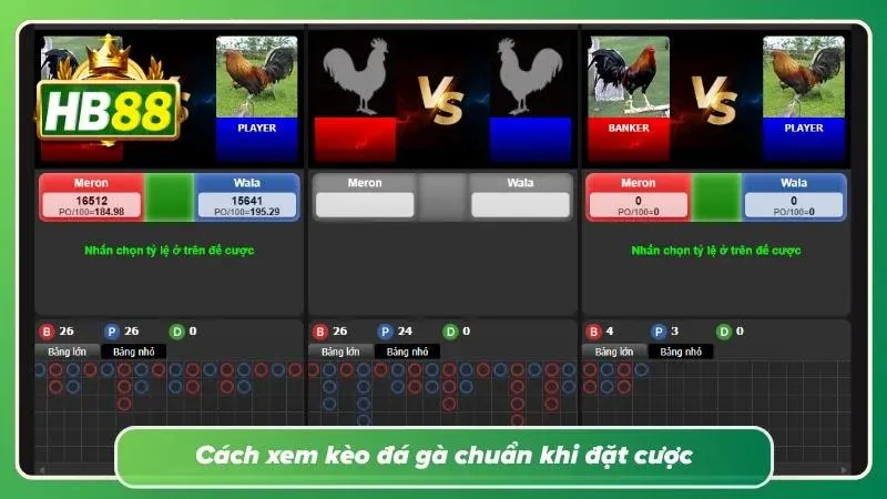 Giao diện tỷ lệ kèo đá gà