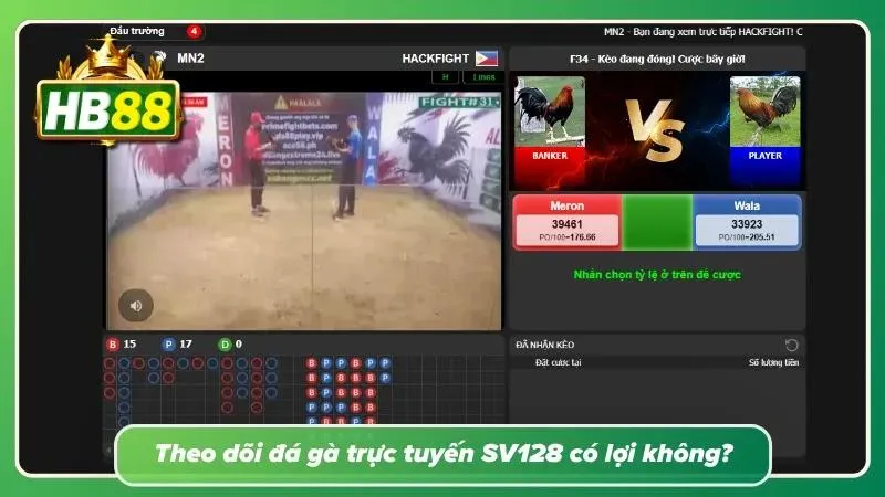 Theo dõi trận đá gà trực tuyến SV128 trên máy tính