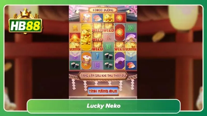Lucky Neko siêu chất lượng