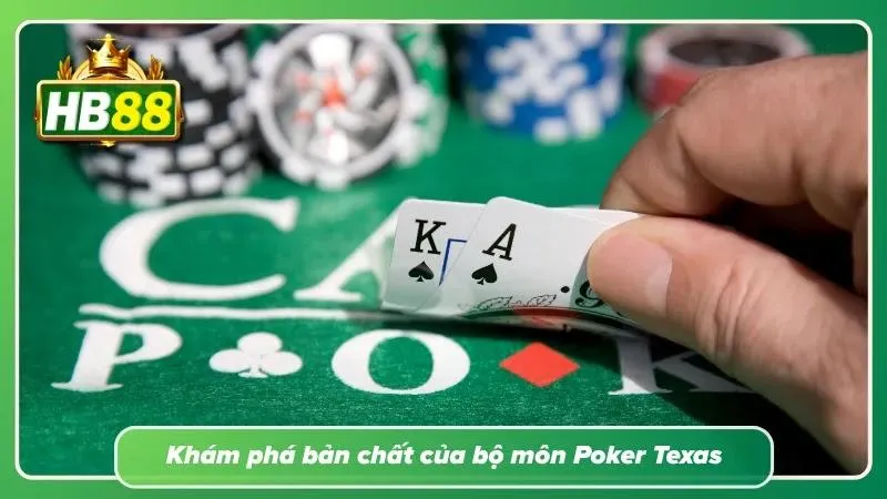 Sảnh đấu bài lá 3D chuyên nghiệp rực rỡ sắc màu.