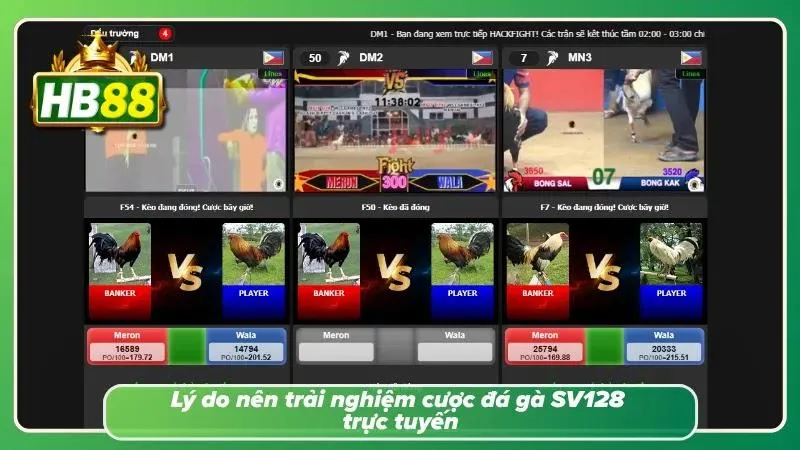 Những tính năng hiện đại về theo dõi trực tiếp