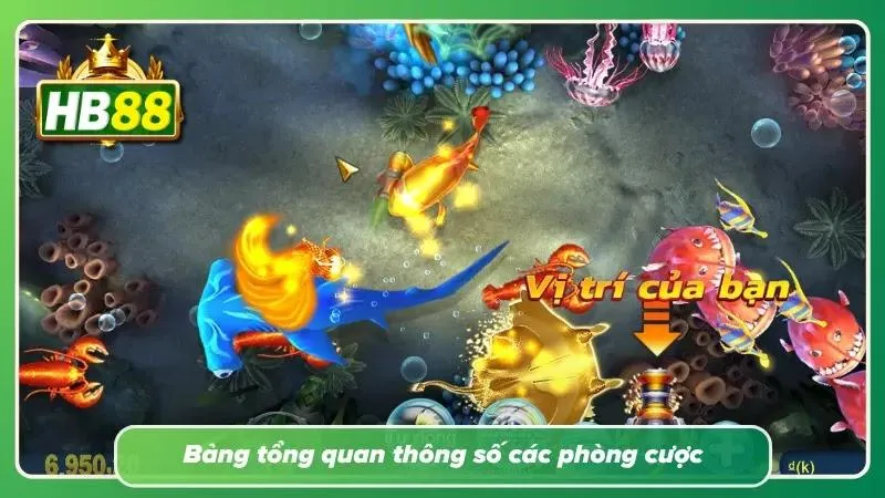 Tổng hợp thông số quan trọng của các phòng