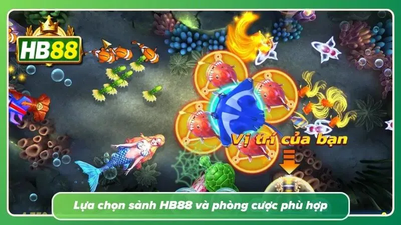 Chọn sảnh cược phù hợp với mức tiền hiện có